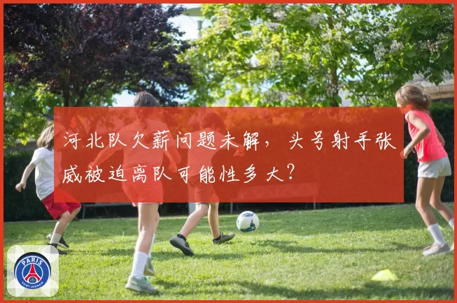 河北队欠薪问题未解，头号射手张威被迫离队可能性多大？